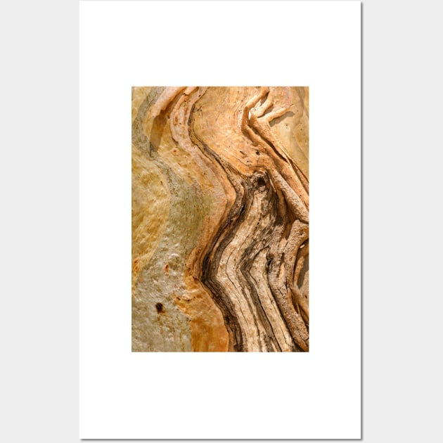 Bark MH2 Wall Art by fotoWerner